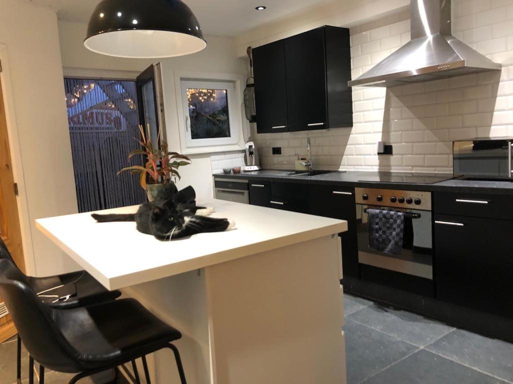 Apartmán Studio Dream On Met Zonnige Terras Ostende Exteriér fotografie
